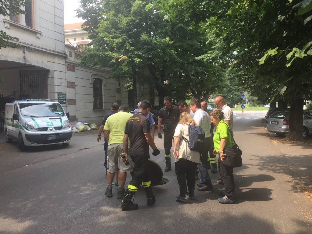 L\'Arnetta ancora rosa