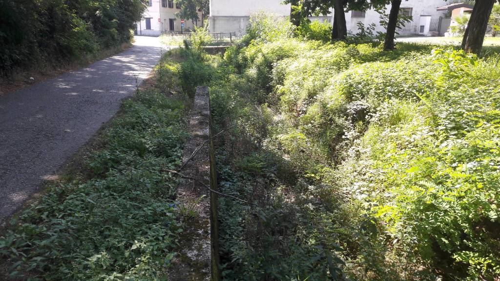 Le erbacce nel Sorgiorile