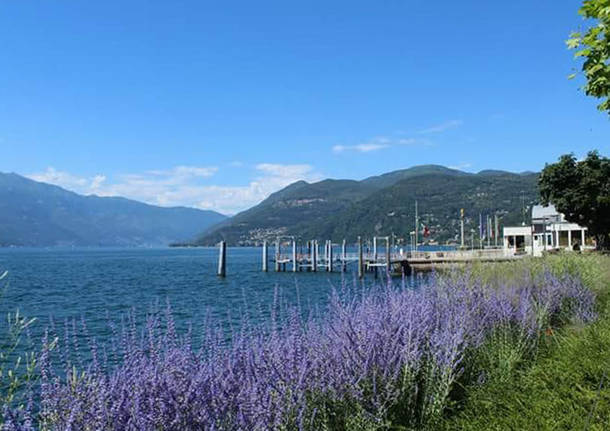 Luino - foto di Maria Desogos