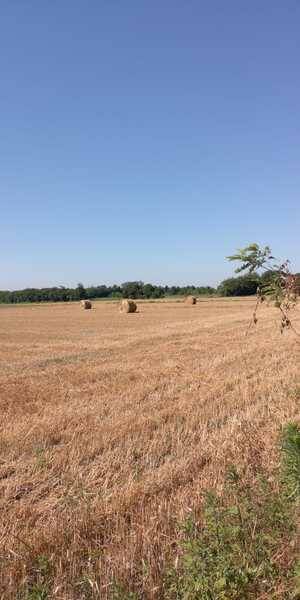 Nerviano Nordic Walking GEV Parco del Roccolo  9 