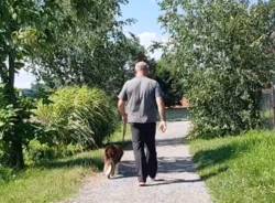 passeggiata con il cane