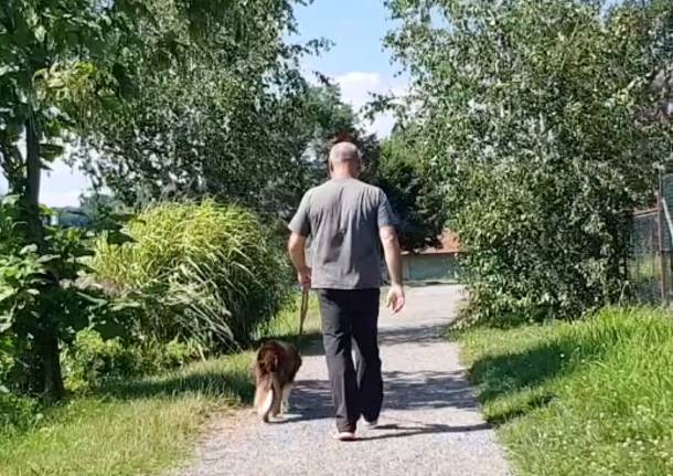 passeggiata con il cane