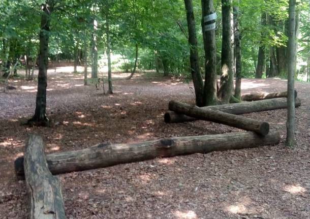 Giochi tra gli alberi al Wild Land di Brinzio