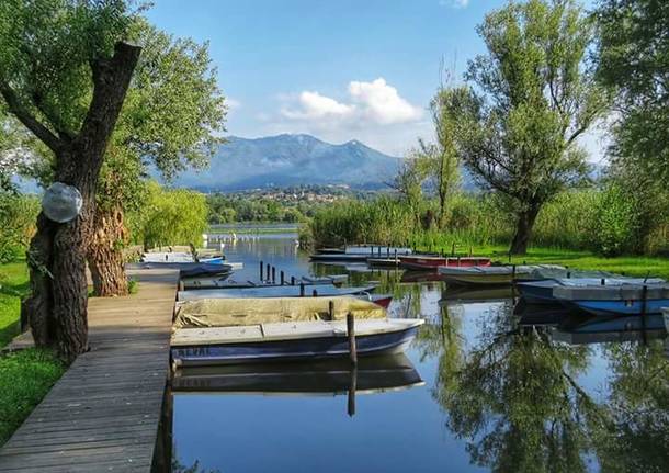 Pace al porticciolo di Azzate