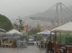 crollo ponte morandi genova