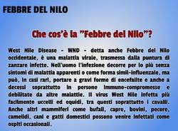 febbre del nilo