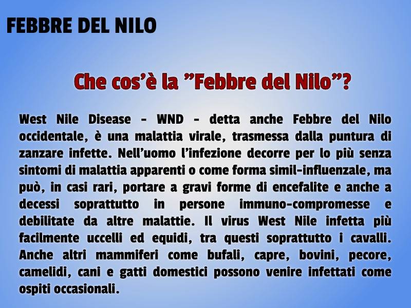 febbre del nilo
