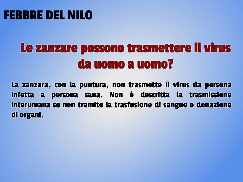 febbre del nilo