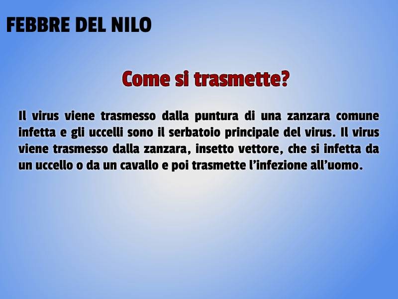 febbre del nilo