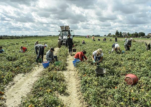 caporalato agricoltura