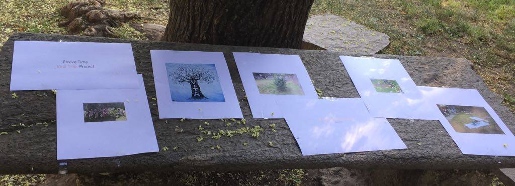 Gli Alberi della Pace di Hiroshima e Nagasaki a Comerio 