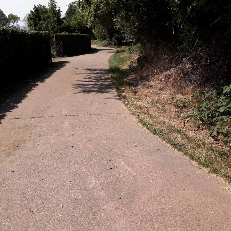 Pulizia delle piante sulla ciclabile, Varese c'è