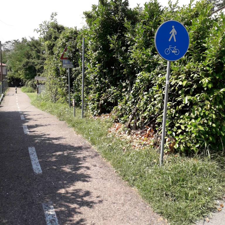 Pulizia delle piante sulla ciclabile, Varese c'è