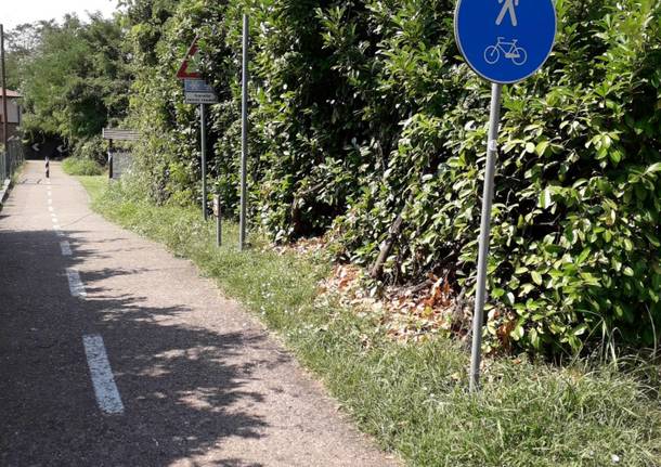 Pulizia delle piante sulla ciclabile, Varese c'è