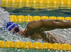 simone bralaam nuoto paralimpico polha - foto Bizzi-CIP