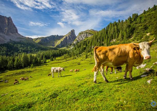 Spettacolo di colori sulle Dolomiti Venete