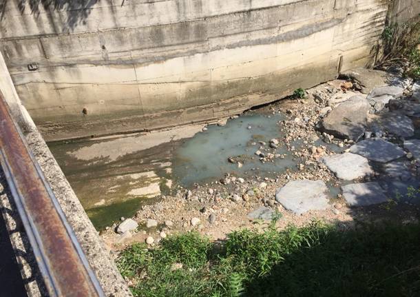 Gallarate, nuovo sversamento nel torrente Arno