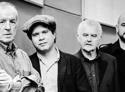 the animals