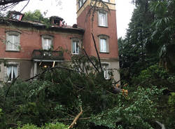 Vedano Olona: alberi caduti per il maltempo