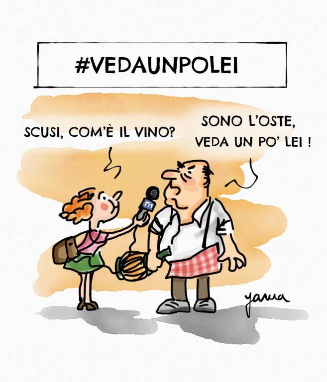 Vignette Pierre Ley