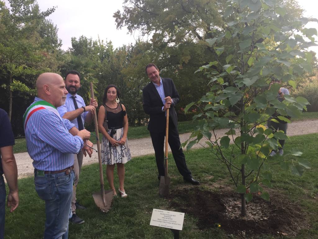 Albero Premio Furia 2018