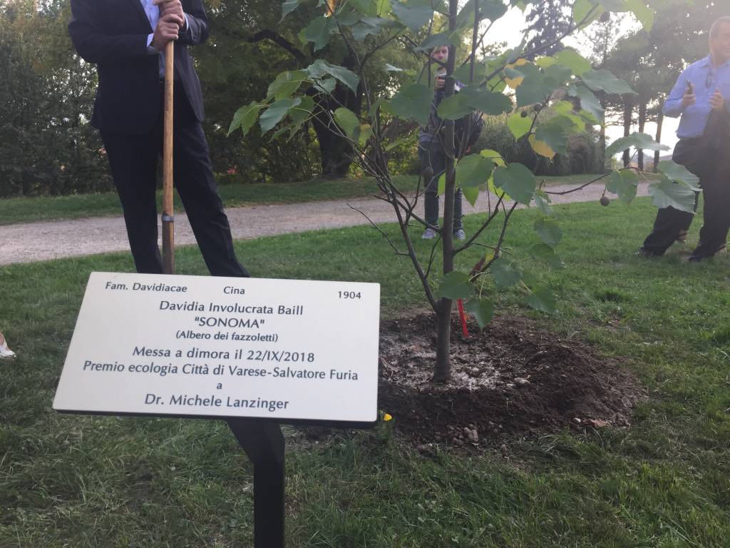 Albero Premio Furia 2018