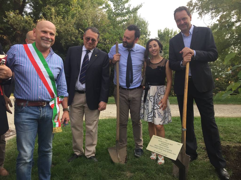 Albero Premio Furia 2018