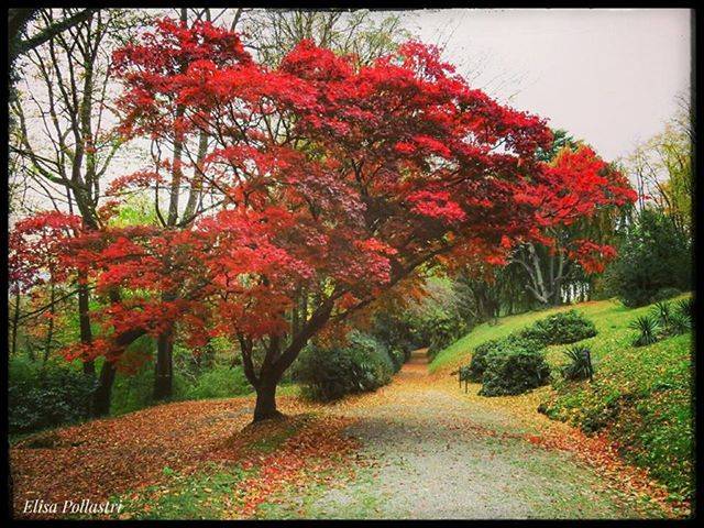 Autunno