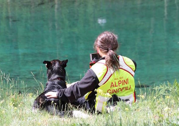 cani da soccorso alpini cinofili