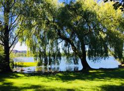 La Lipu a Nature urbane