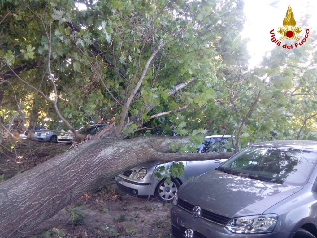 Forte vento, i danni in provincia