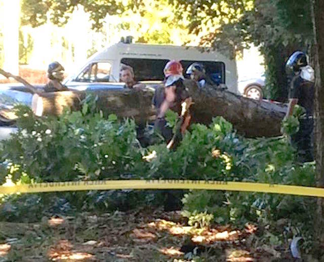 Forte vento, i danni in provincia