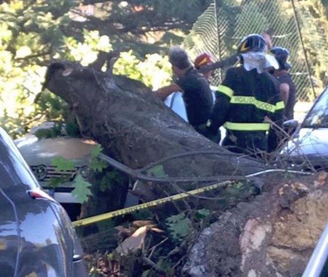 Forte vento, i danni in provincia