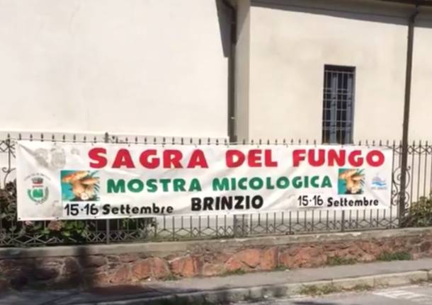 Brinzio, torna la Sagra del Fungo