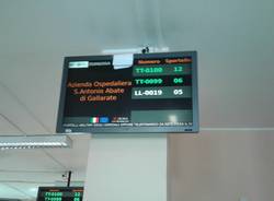 cup di gallarate