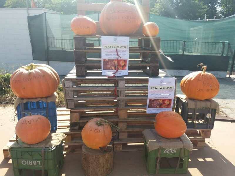 festa zucca 5