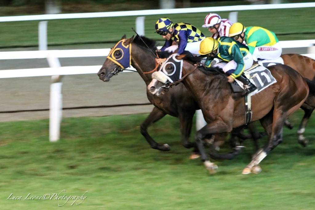 gran premio bettole varese