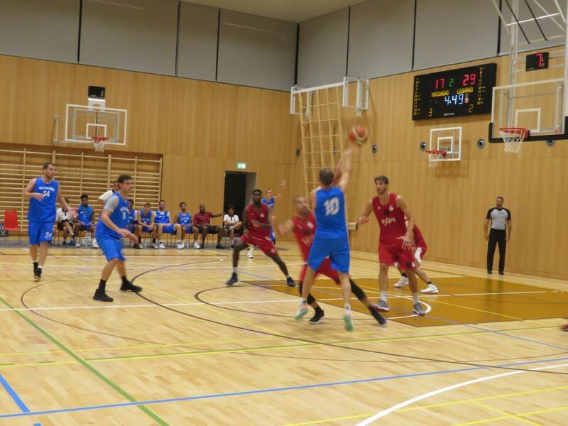 IMG 8101  Medium 