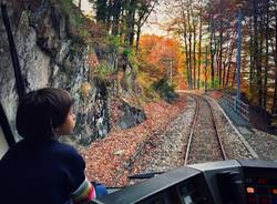 La Vigezzina in autunno e il "Treno del foliage"