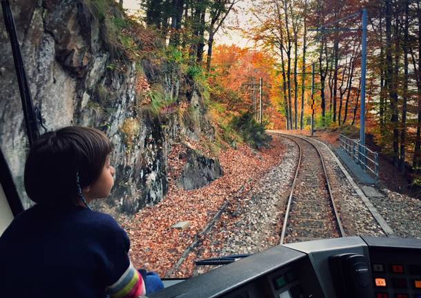 La Vigezzina in autunno e il "Treno del foliage"