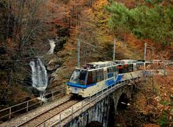 La Vigezzina in autunno e il "Treno del foliage"