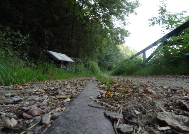 pista ciclabile valle olona lonate ceppino castiglione olona