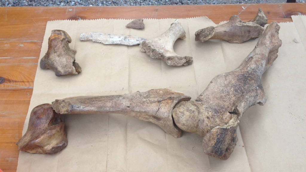 Scavi al monastero di torba