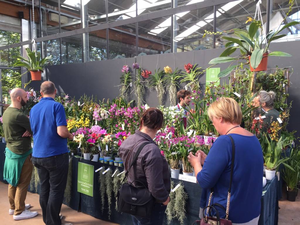Varese Orchidea 2018