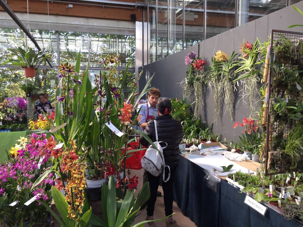 Varese Orchidea 2018