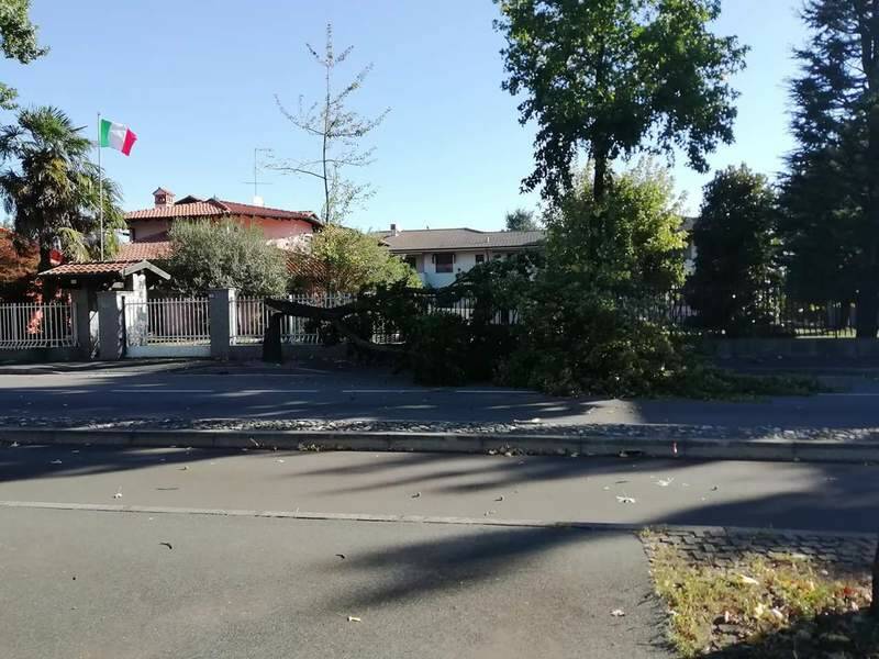 vento albero abbattuto cerro maggiore  2 