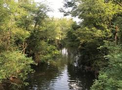 Via Francisca, da Gazzada a Busto 