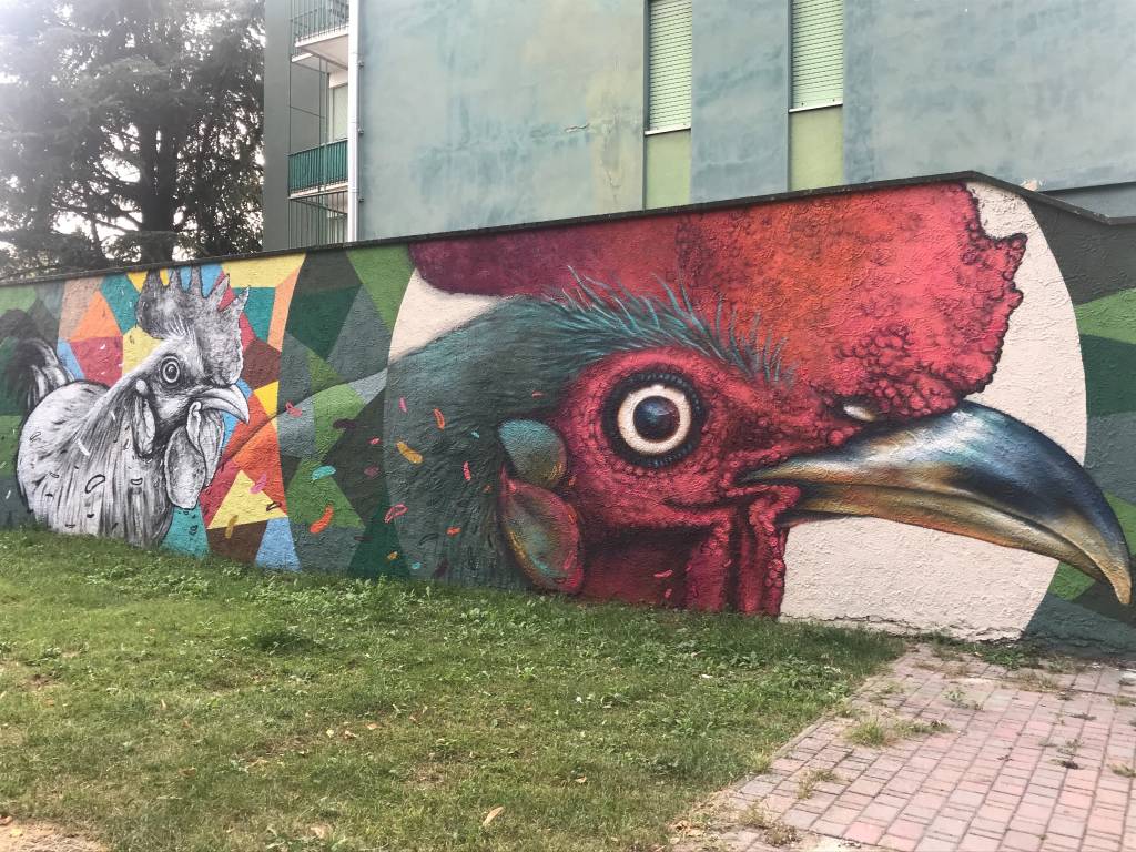 Via Francisca, da Gazzada a Busto 