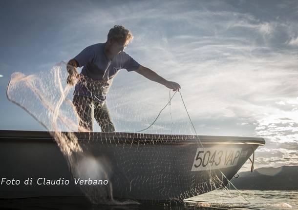 vivaria verbanni tomba del pescatore angera