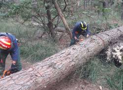 Volontari Parco Ticino Golasecca